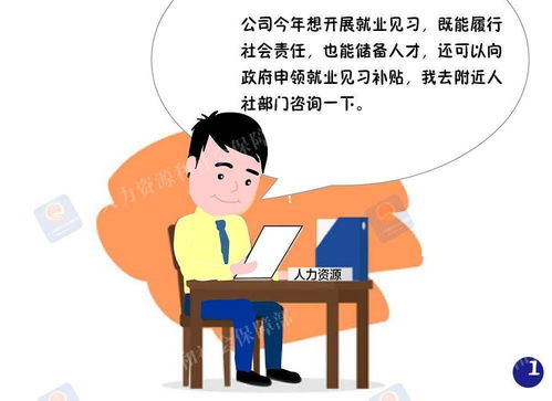 就業(yè)見習補貼如何辦 官方解答