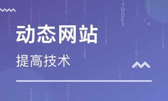 天津網站建站培訓 天津動態網站后臺開發班 天津先鋒科教職業培訓學校
