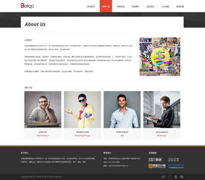 天津網站開發(fā)_廣告官網網站搭建欣賞!