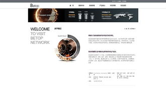 天津網頁開發(fā)與工業(yè)制造官網設計——奔唐網絡的卓越實踐